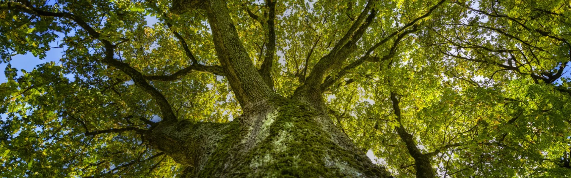 Nachhaltigkeit bei MFH Systems