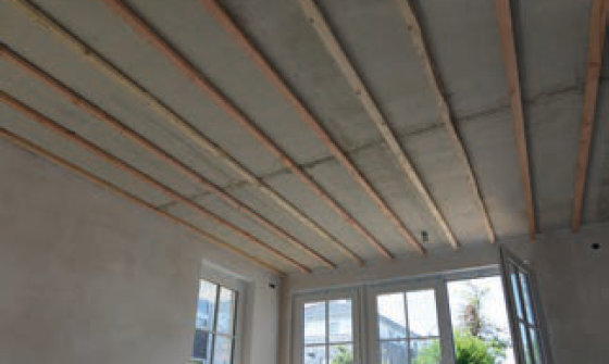 mfh_report_ceiling_basic_piephans