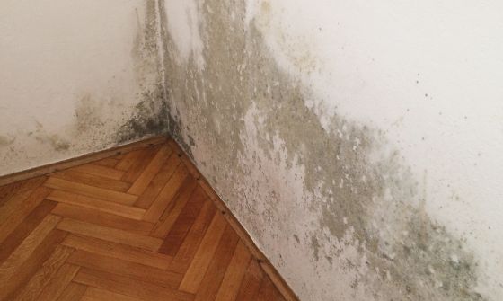 mfh_referenz_e-nergy_carbon_fleece_wand_sanierung_schimmelwand_graz