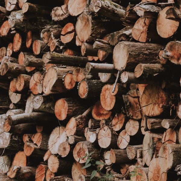 mfh-sustainability_wood